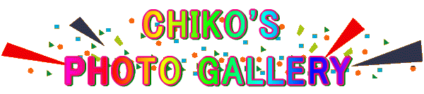       CHIKO'S PHOTO GALLERY 
